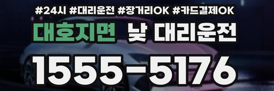 대호지면 낮 대리운전
