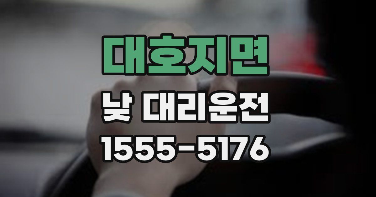 대호지면 낮 대리운전