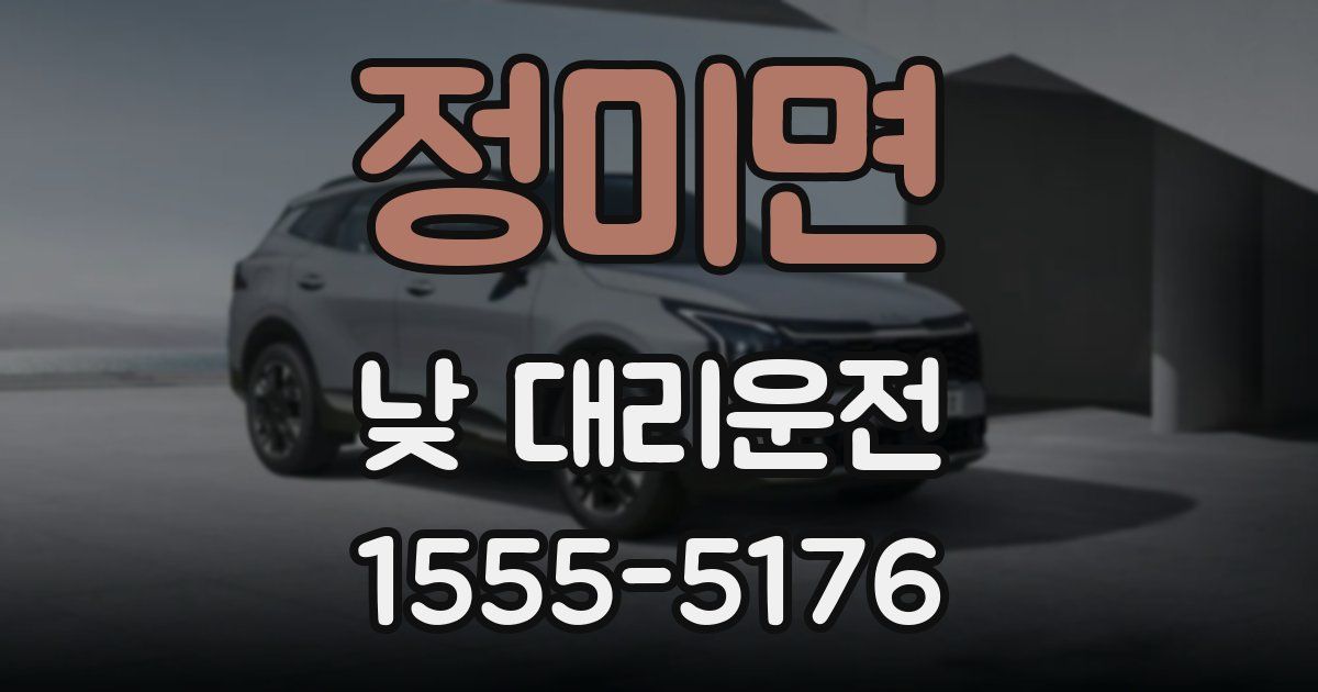 정미면 낮 대리운전