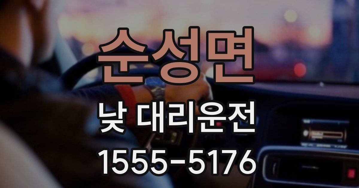 순성면 낮 대리운전