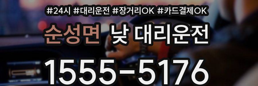 순성면 낮 대리운전