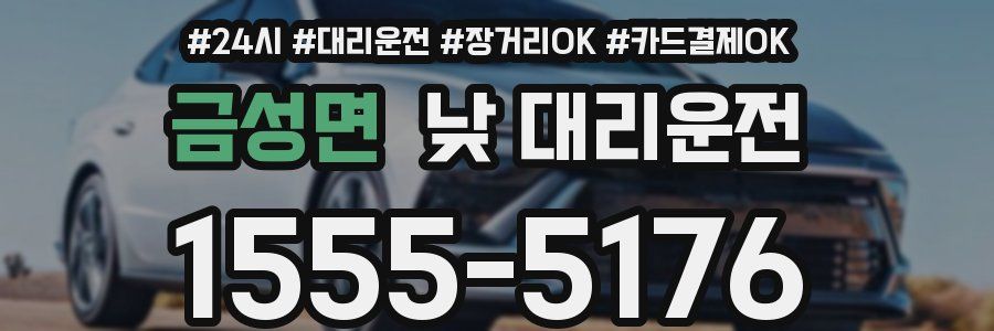 금성면 낮 대리운전