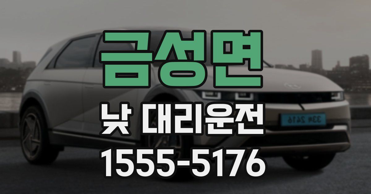 금성면 낮 대리운전