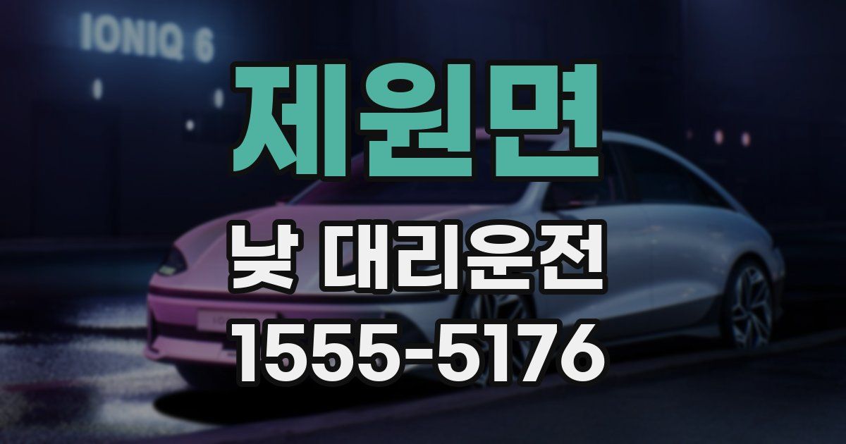 제원면 낮 대리운전