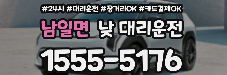 남일면 낮 대리운전