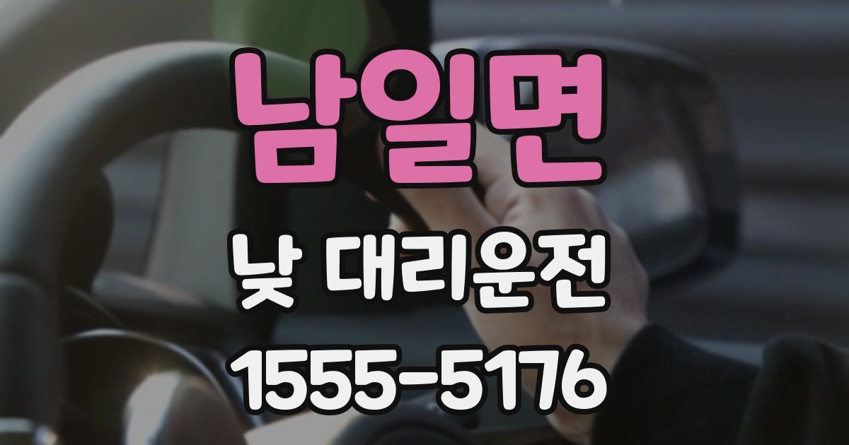 남일면 낮 대리운전