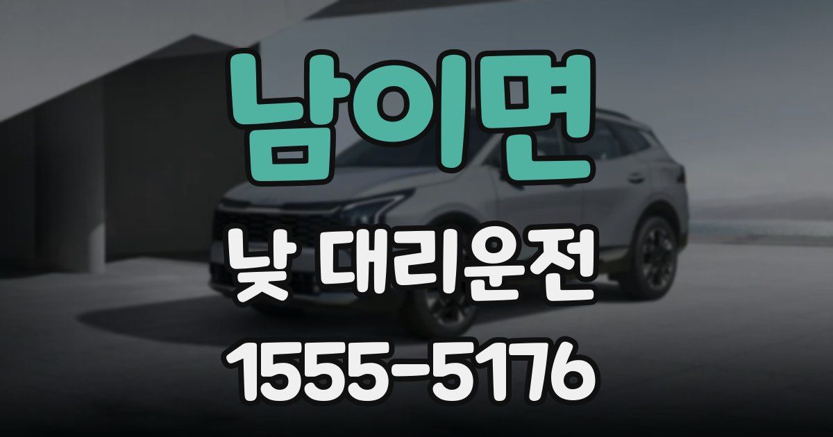남이면 낮 대리운전