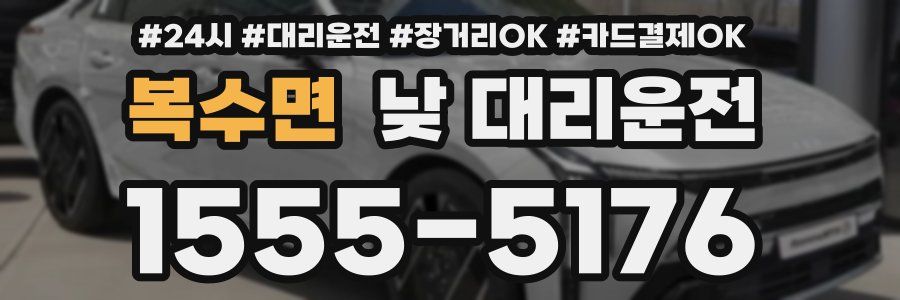 복수면 낮 대리운전