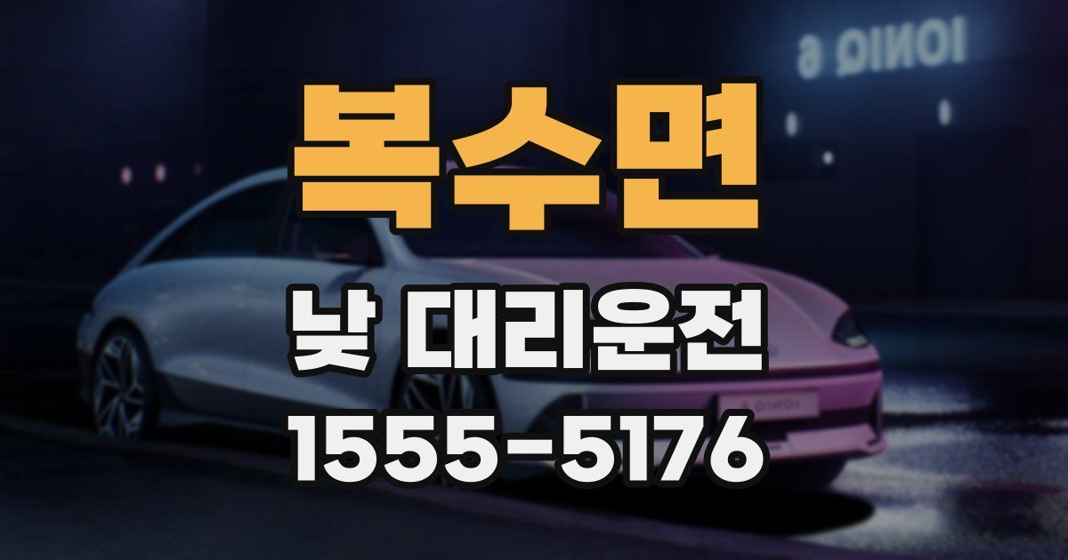 복수면 낮 대리운전