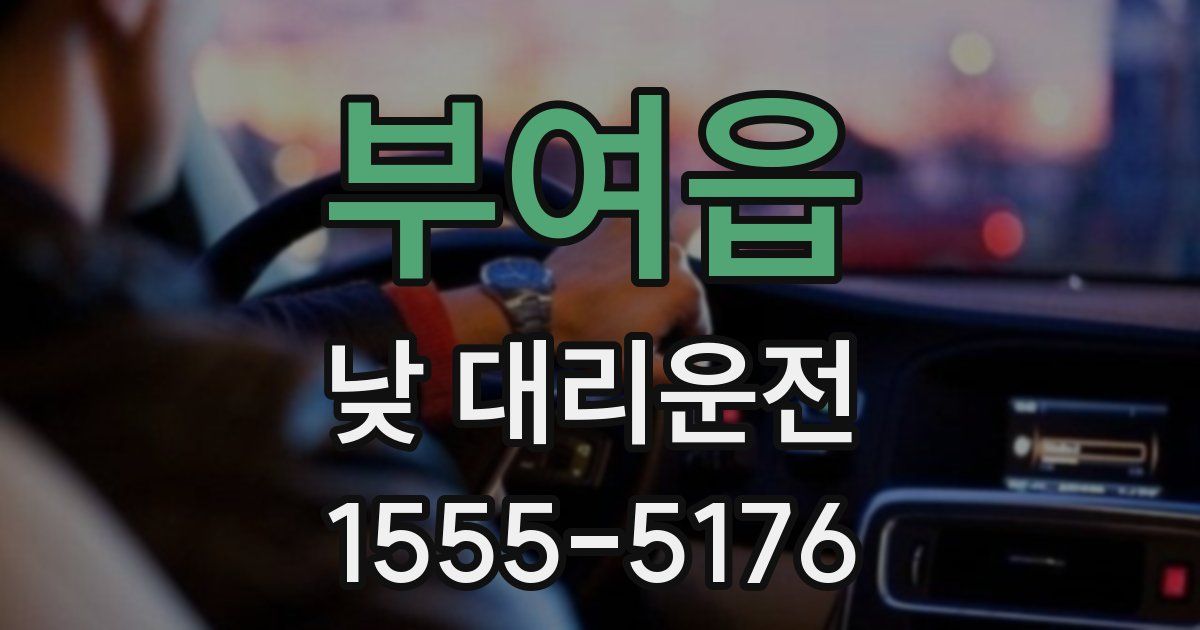 부여읍 낮 대리운전