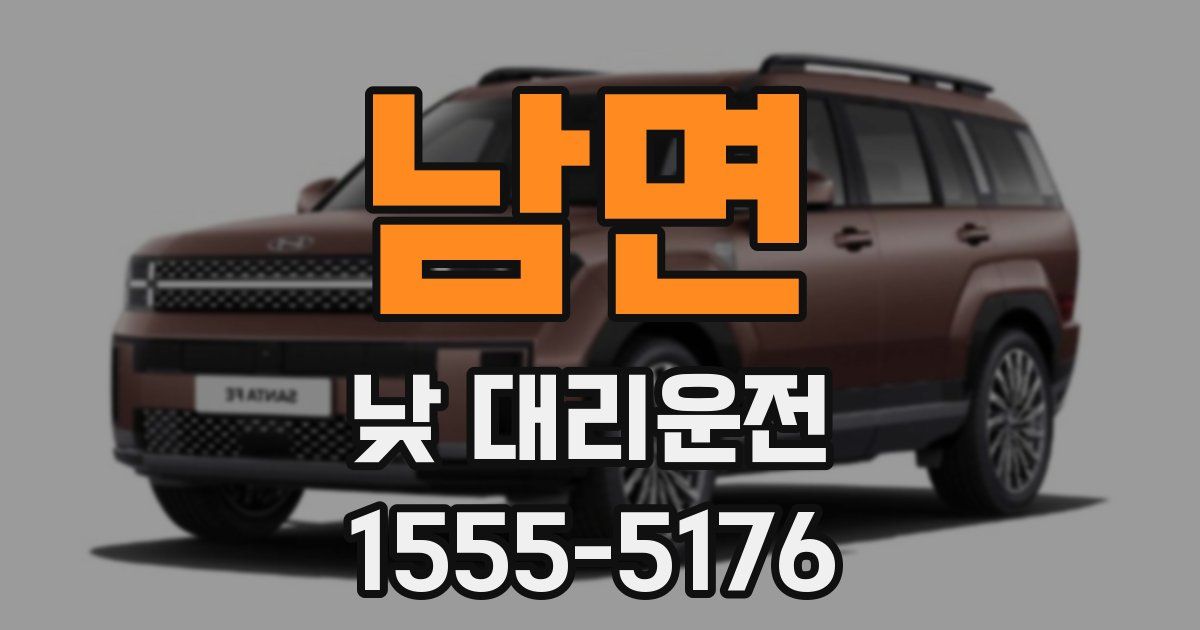 남면 낮 대리운전