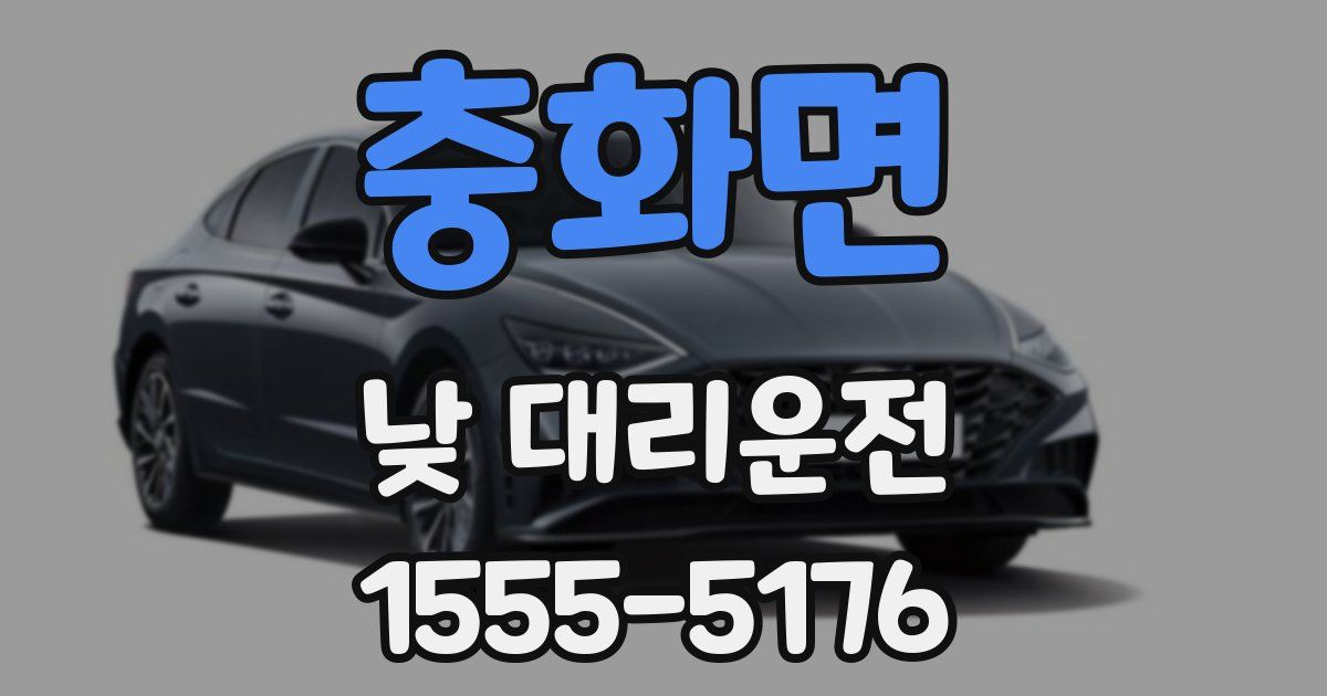 충화면 낮 대리운전