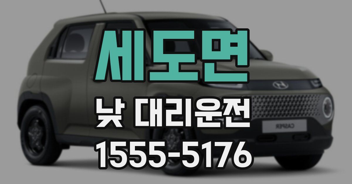 세도면 낮 대리운전