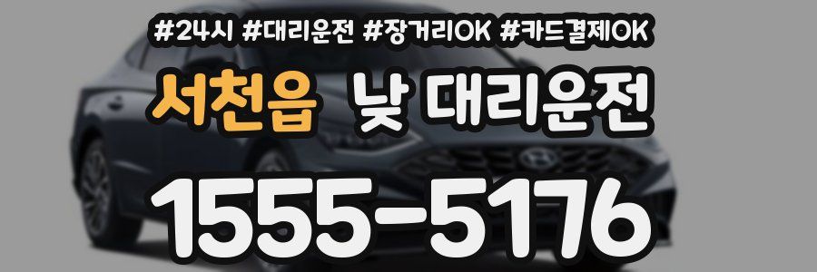 서천읍 낮 대리운전