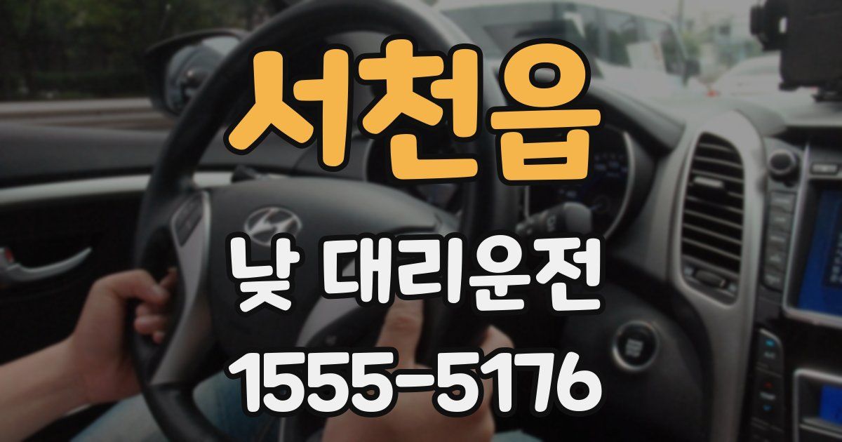 서천읍 낮 대리운전