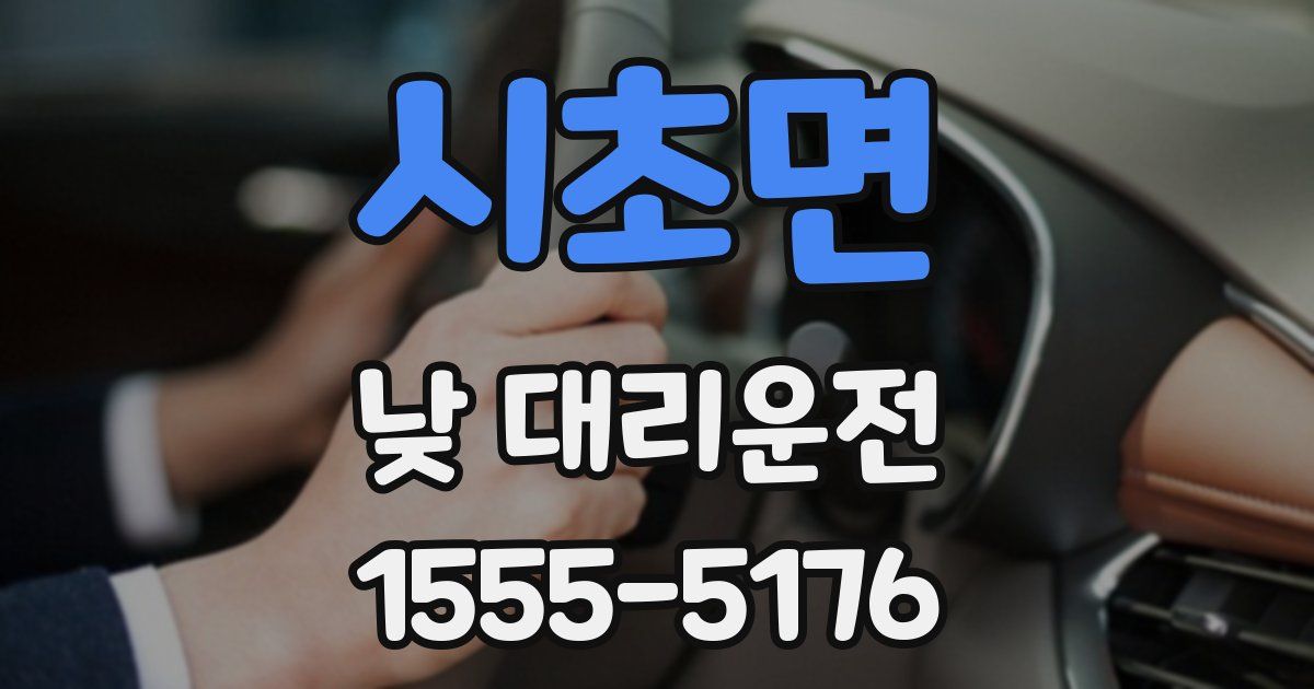 시초면 낮 대리운전