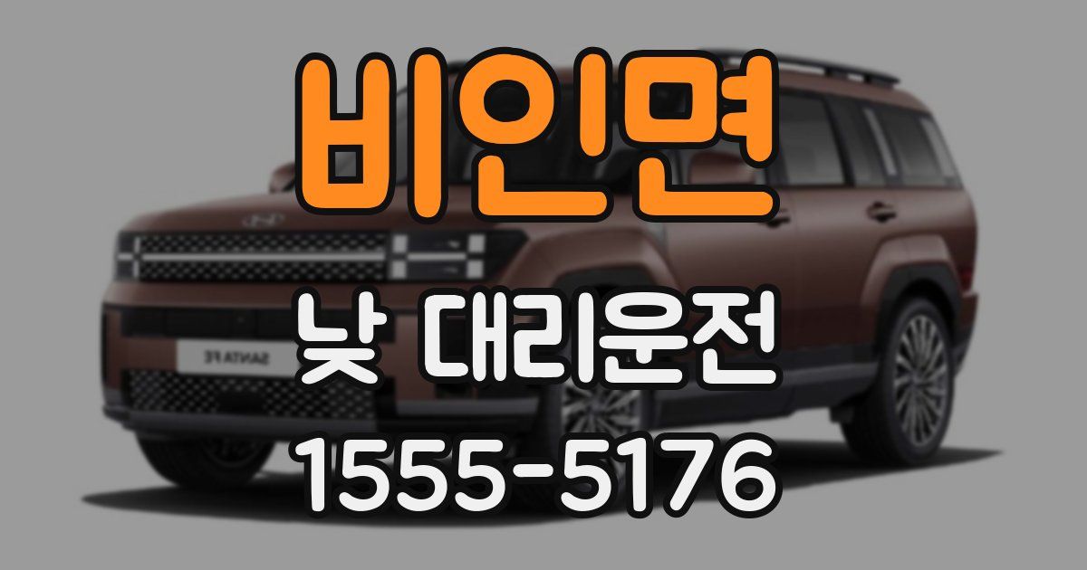비인면 낮 대리운전