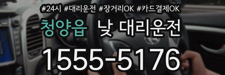 청양읍 낮 대리운전