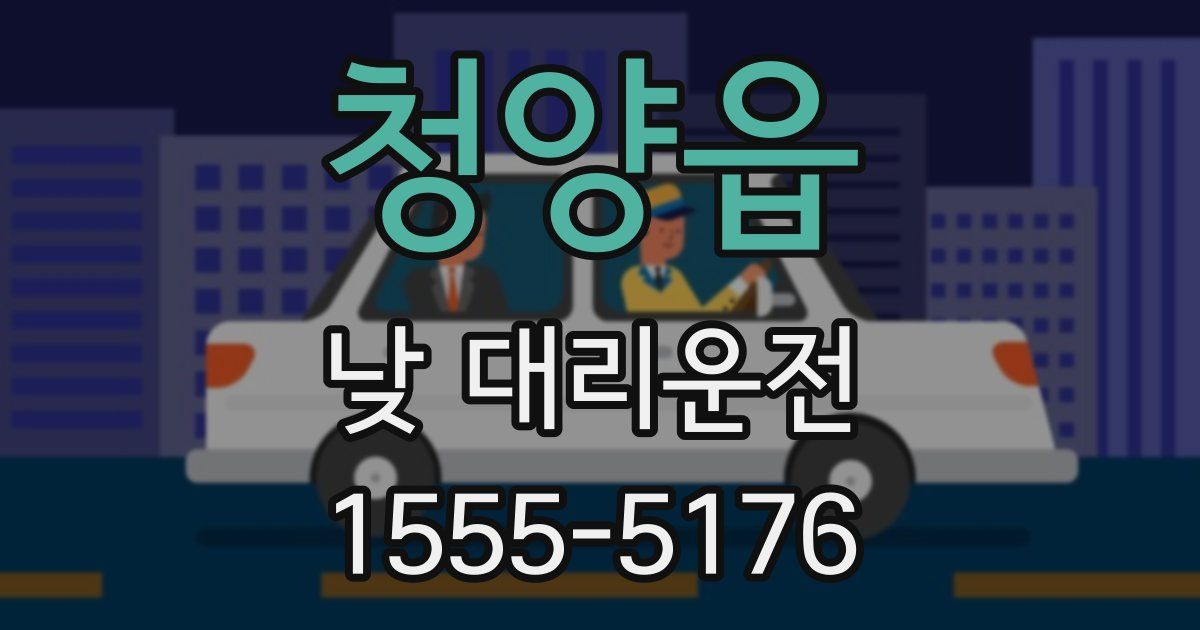 청양읍 낮 대리운전