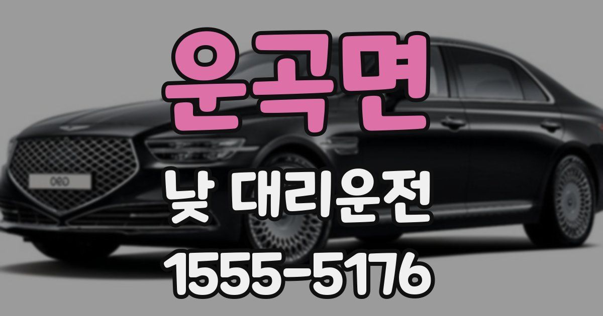 운곡면 낮 대리운전
