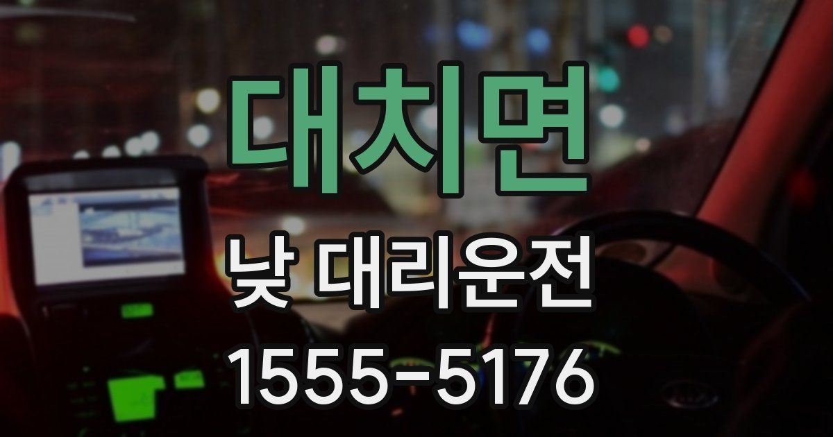 대치면 낮 대리운전