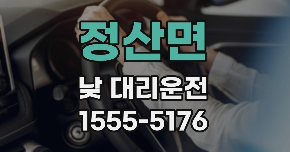 정산면 낮 대리운전