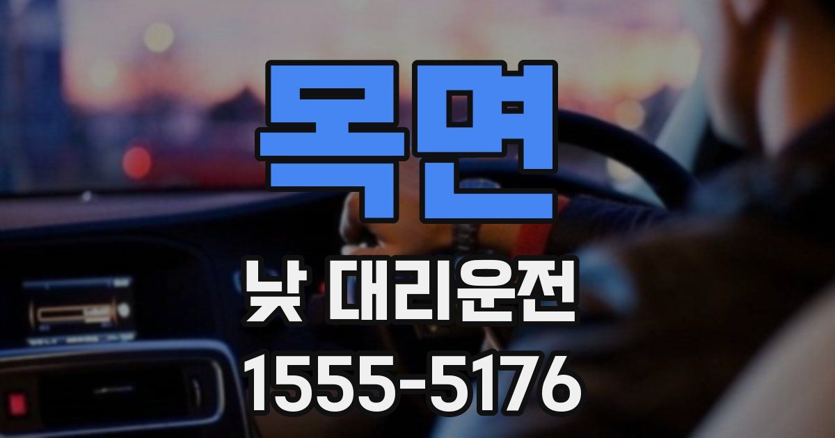 목면 낮 대리운전