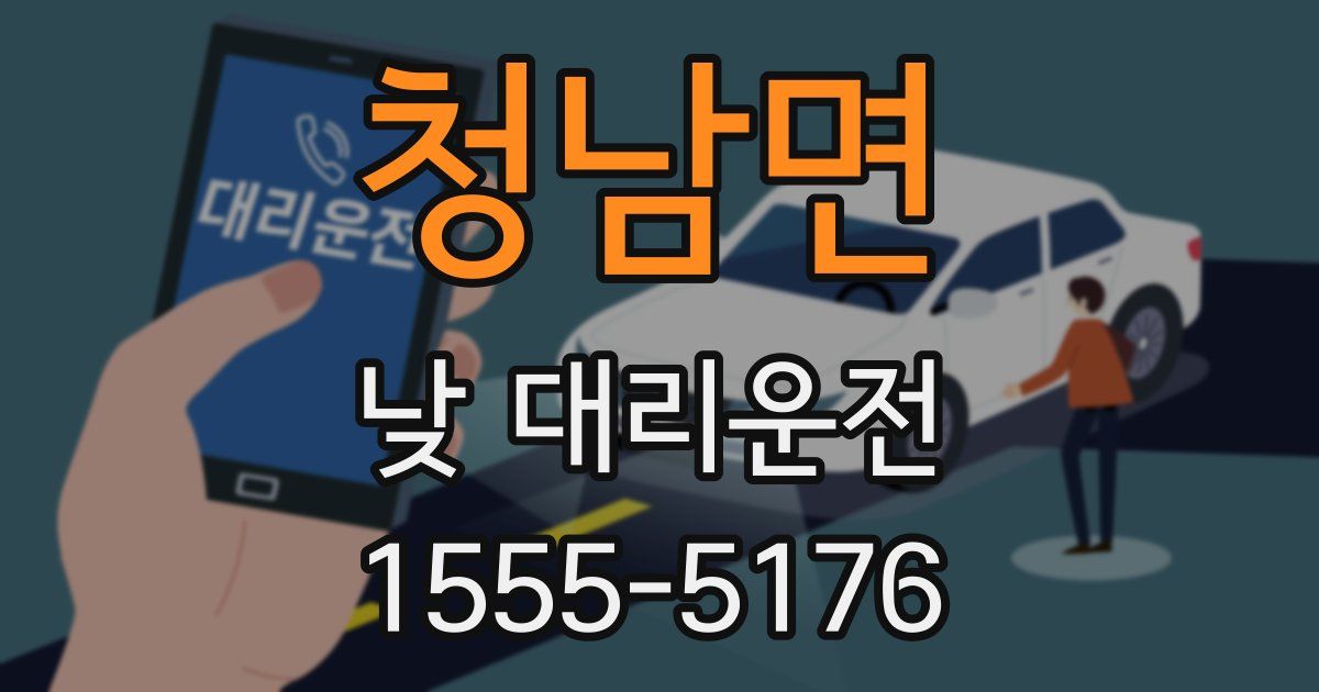 청남면 낮 대리운전