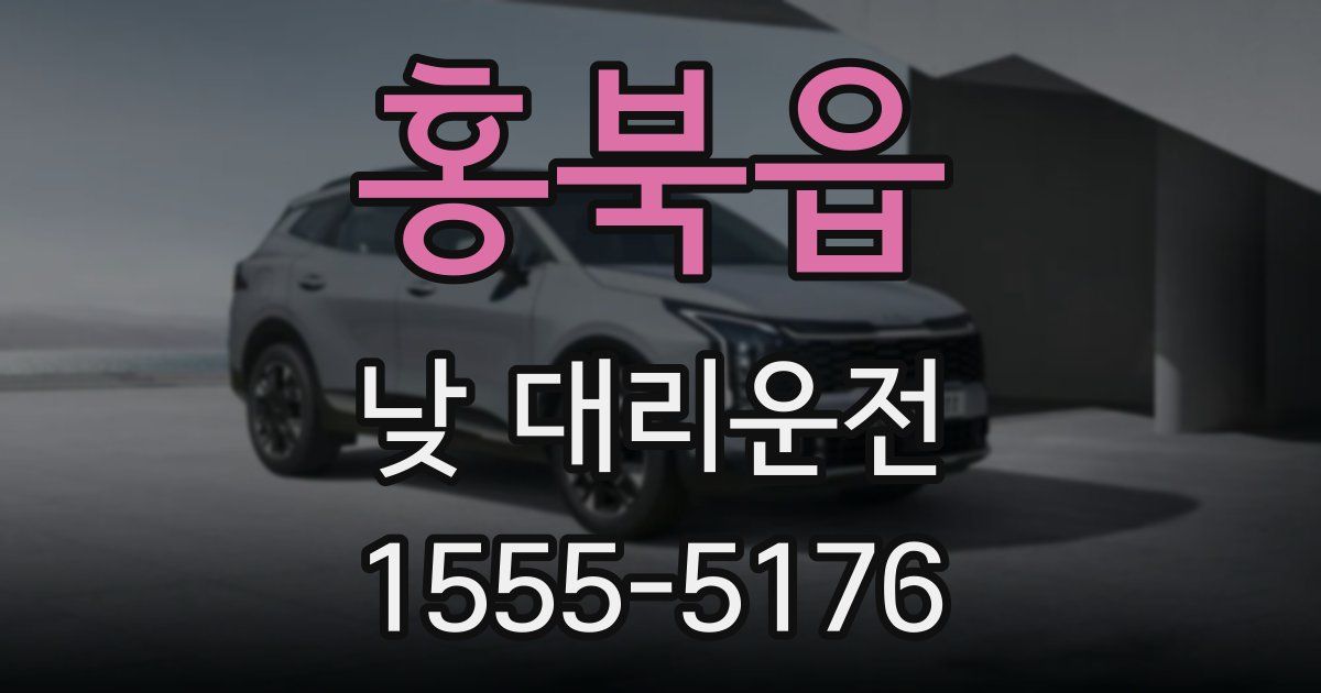 홍북읍 낮 대리운전