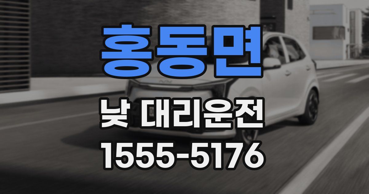 홍동면 낮 대리운전