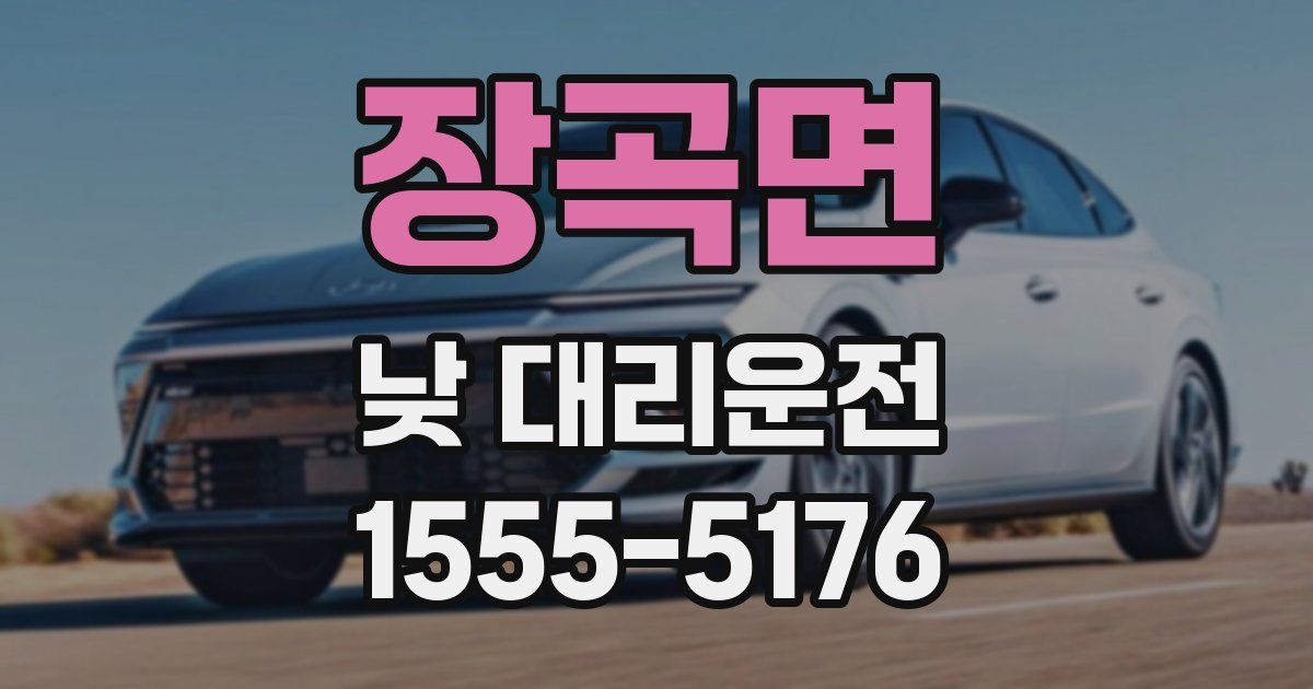 장곡면 낮 대리운전