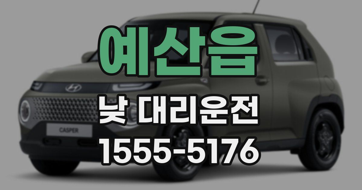 예산읍 낮 대리운전