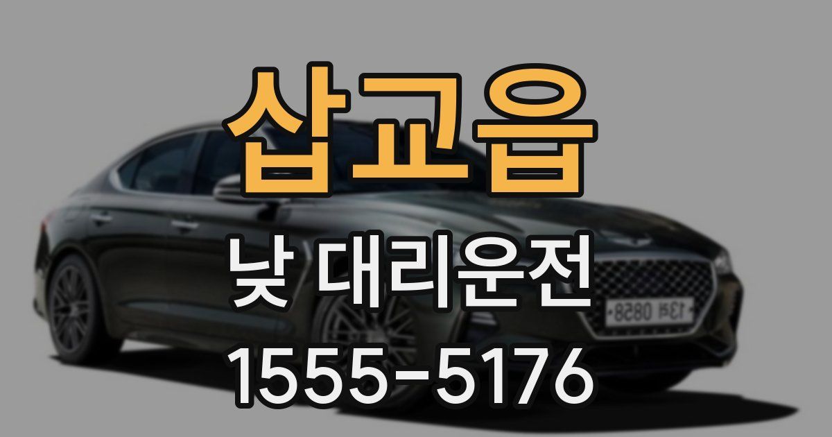 삽교읍 낮 대리운전