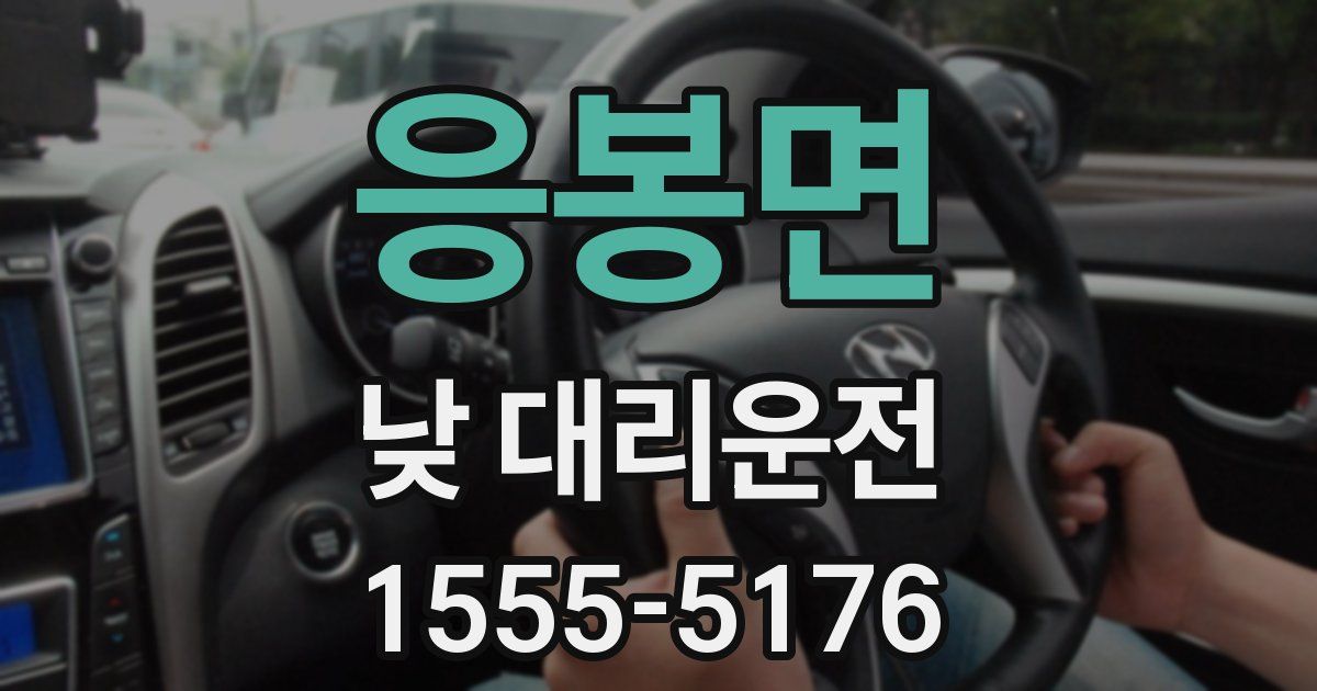 응봉면 낮 대리운전
