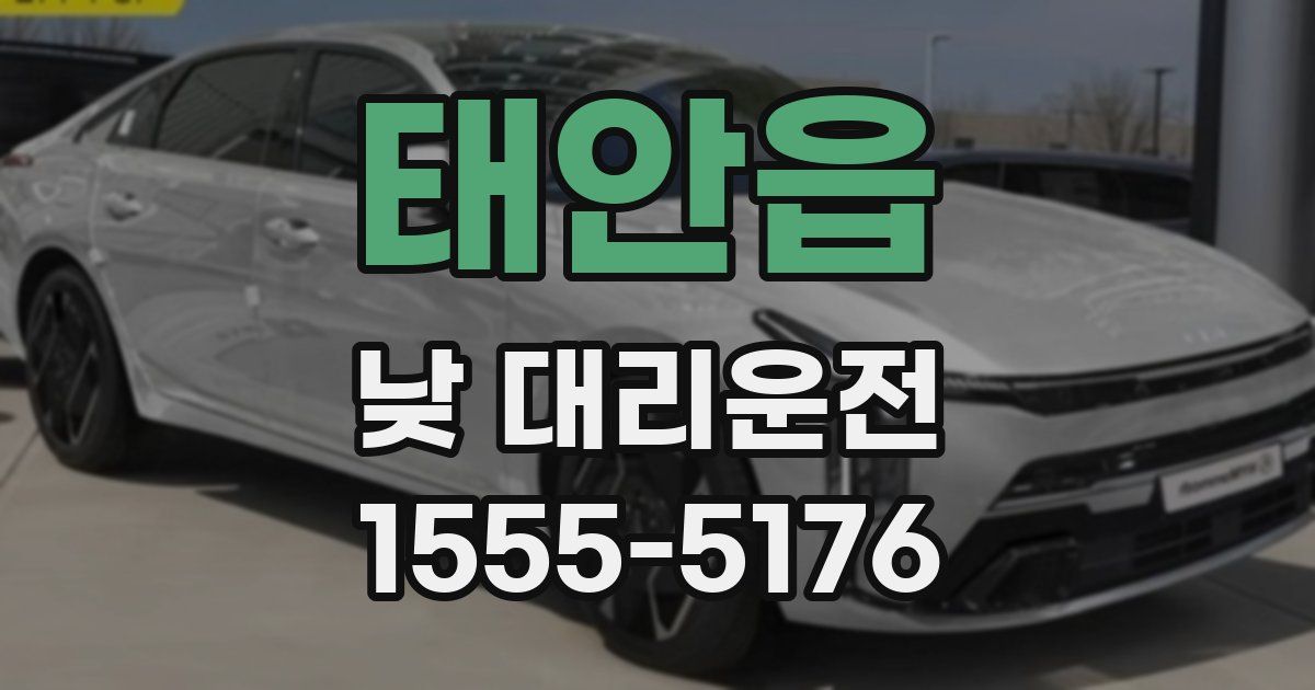 태안읍 낮 대리운전