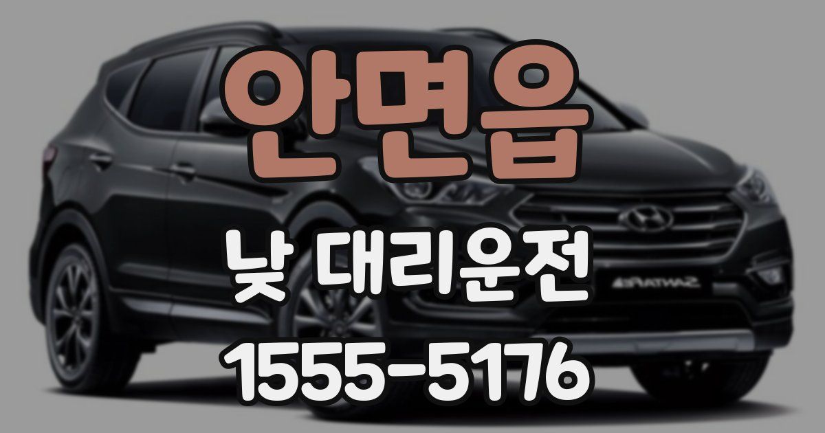 안면읍 낮 대리운전