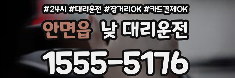 안면읍 낮 대리운전