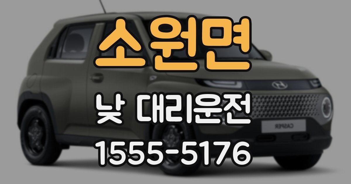 소원면 낮 대리운전