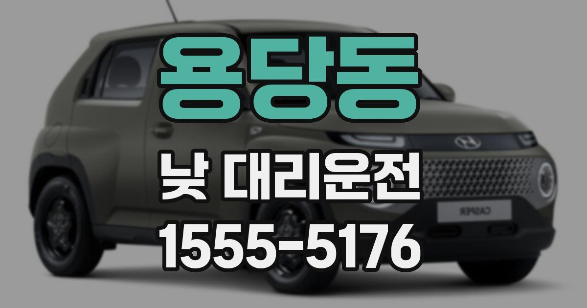 용당동 낮 대리운전