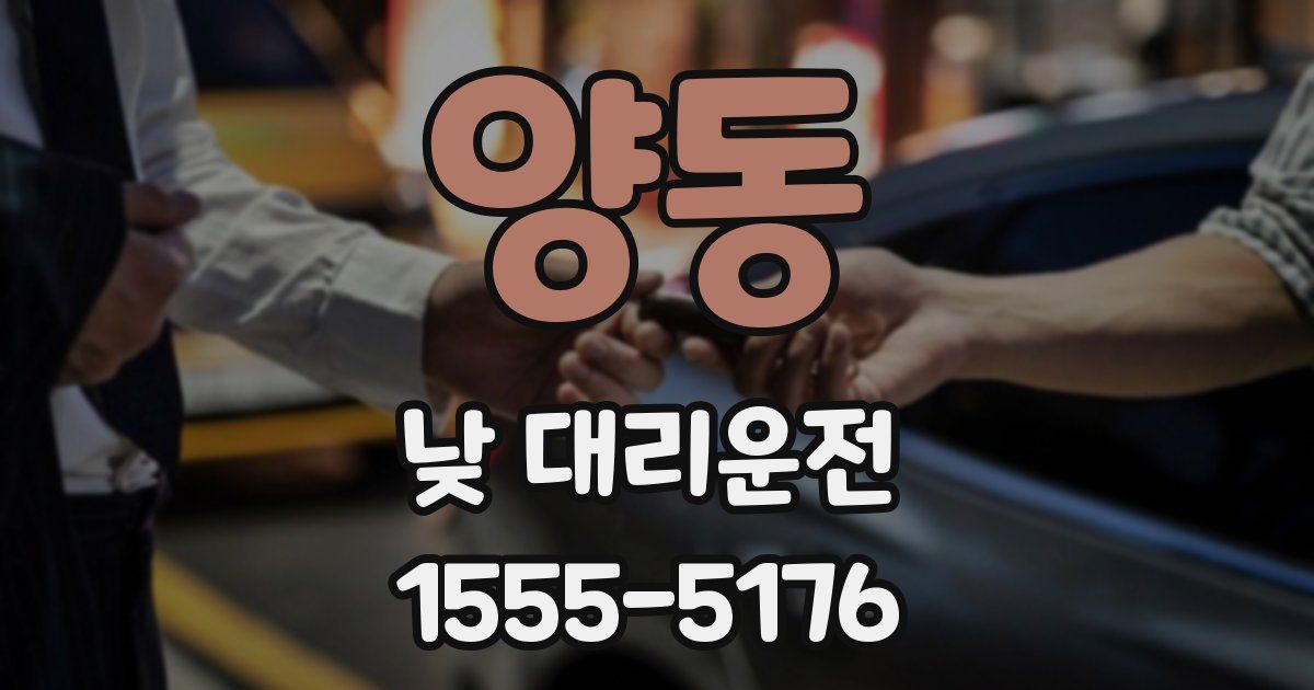 양동 낮 대리운전
