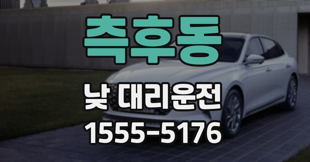 측후동 낮 대리운전