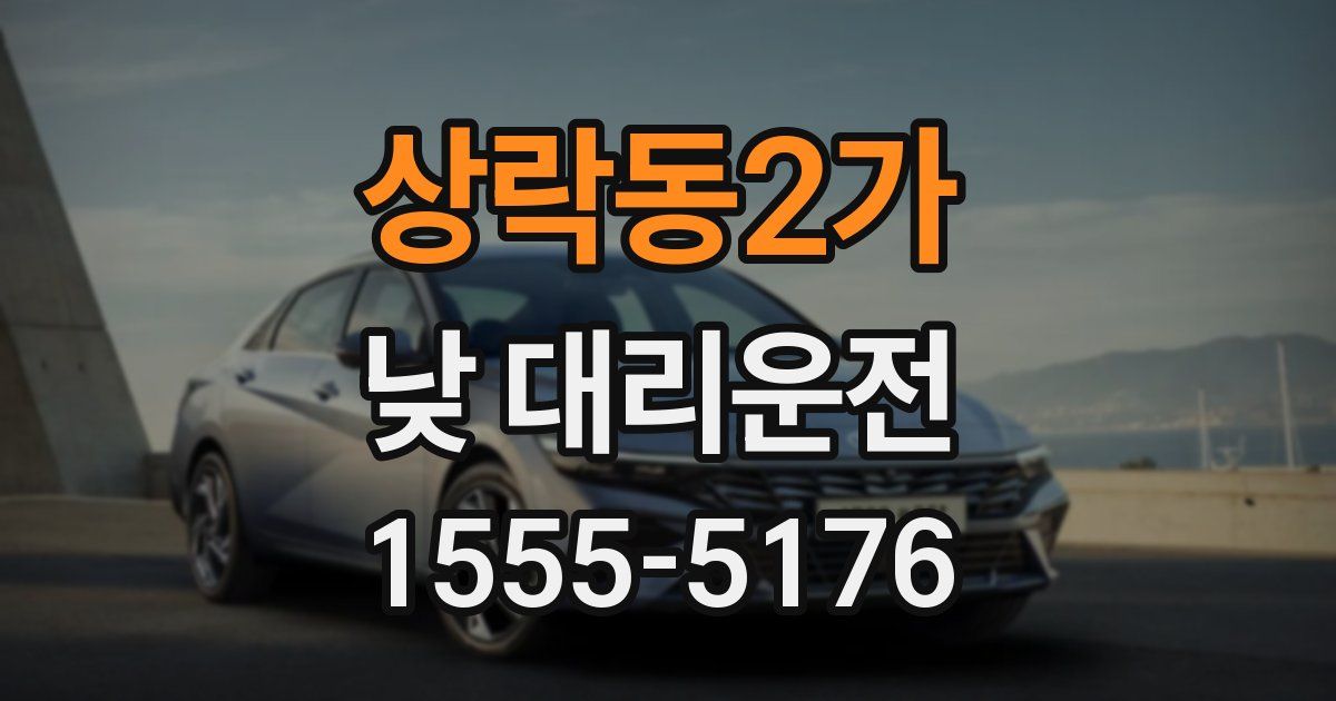 상락동2가 낮 대리운전