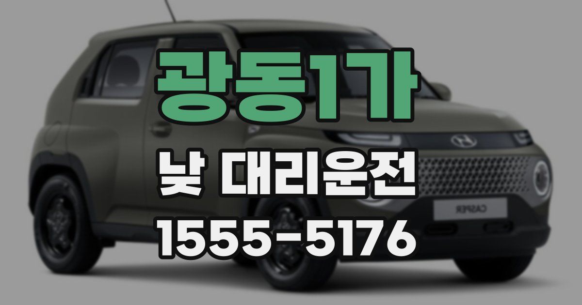 광동1가 낮 대리운전