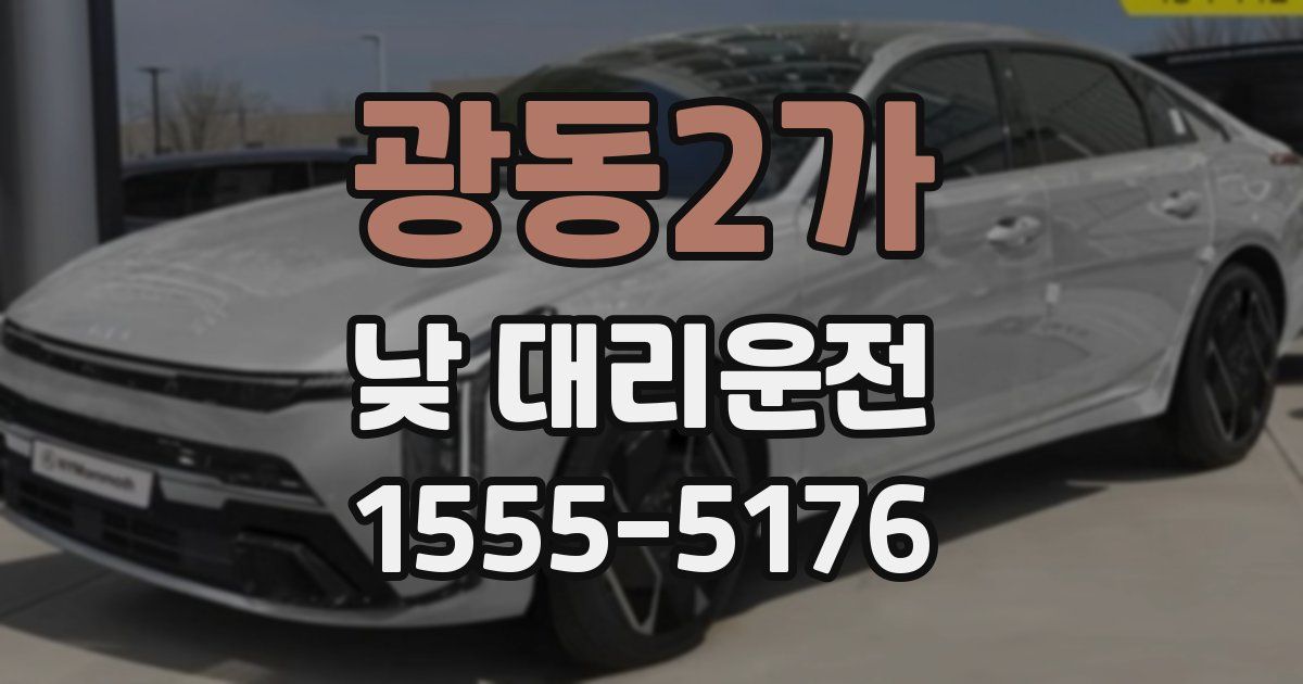 광동2가 낮 대리운전