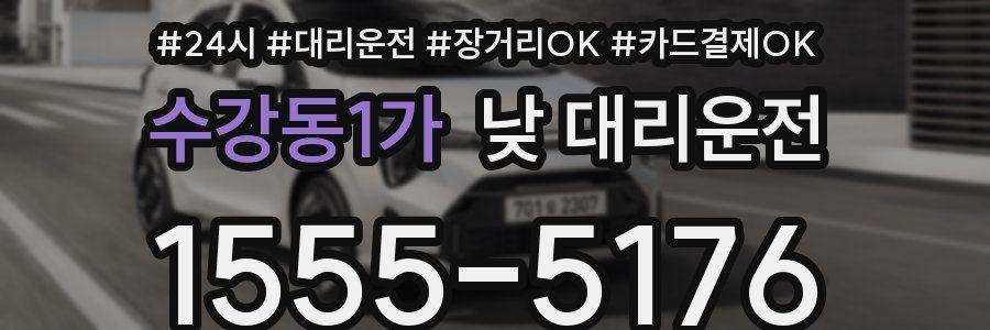 수강동1가 낮 대리운전