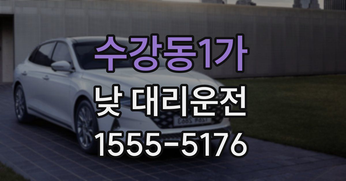 수강동1가 낮 대리운전