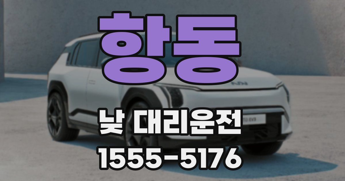 항동 낮 대리운전