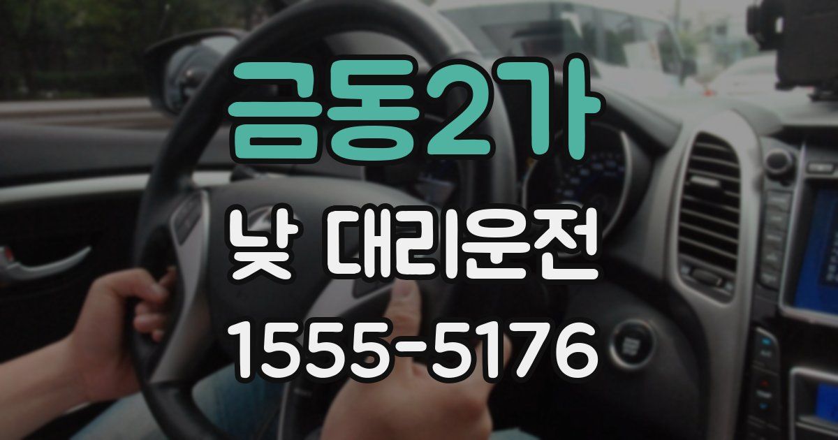 금동2가 낮 대리운전