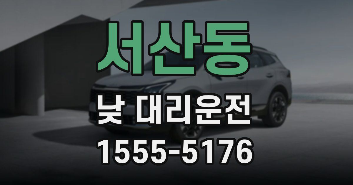 서산동 낮 대리운전