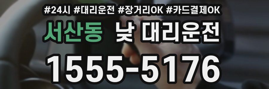 서산동 낮 대리운전